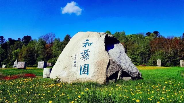 球球大作战下载最新版